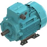 Elk 0.18 Kw 1/4 Hp 1500 D/d-B3 (2EL063M4C) 380 400 Volt Trifaze Ie2 B3 Ayaklı Elektrik Motoru