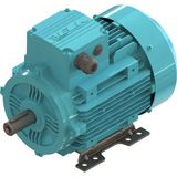 Elk 0.55 kw 3/4 Hp 3000 D/d-B3 (2EL071M2B) 380 400 Volt Trifaze Ie2 B3 Ayaklı Elektrik Motoru