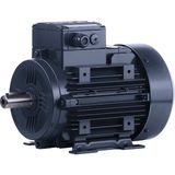 Elk 1.1 Kw 1.5 Hp 3000 D/d-b3 (3el080m2c) 380 400 Volt Trifaze Ie3 B3 Ayaklı Elektrik Motoru