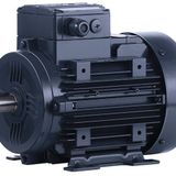 Elk 2.2 Kw 3 Hp 1500 D/d-b3 (3el100l4c) 380 400 Volt Trifaze Ie3 B3 Ayaklı Elektrik Motoru