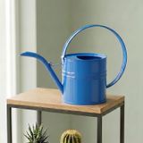 Ella 1 Litre Metal Çiçek Saksı Sulama Kabı - Modern Dekoratif Çok Amaçlı Sulak - Mavi