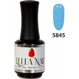 Ellea Nail 70 Kalıcı Oje