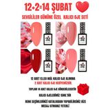Ellea Nail Kalıcı Oje Seti 14 Şubat