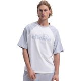Ellesse Erkek Tişört EM009-2-SGR - Renkli - XL