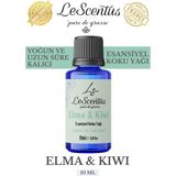 Elma Kiwi Esansiyel Koku Yağı Buhurdanlık Yağı Difüzör Hobi Esansı Oda Ortam Kokusu 10ml