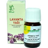 Elma Shop Lanta Yağı 20 cc - 1 Adet