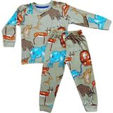 Elmp Hayvanlar Alemi Desen %100 Pamuk Erkek Çocuk Pijama Takımı 1-5 Yaş 3003 - Çok Renkli