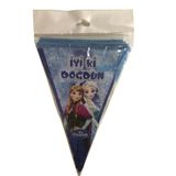 Elsa Flama Frozen Karlar Ülkesi Doğum Günü Parti Flaması 2mt