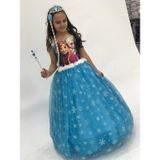 Elsa Resimli Frozen Gelinlik-Abiye-Kostum