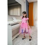 Elsa Tüllü Fiyonklu Parti Doğum Günü Elbisesi Frozen Karlar Ülkesi Elbisesi - 01P-Pembe - 6 Yaş