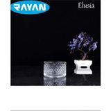 Elusia Lines Çizgili Tekli Cam Çerezlik ROYALEKS-82637 - Renkli