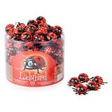 Elvan Lady Bird 8 gr x 100'LÜ Kakaolu Fındıklı Çikolata Lezzeti ile Tatlandırılmış