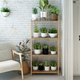Elvira Atlantik Çam Ahşap 4 Katlı Çiçeklik, Saksılık, Çiçek Standı, Dekoratif Raf - Çok Amaçlı Kullanım