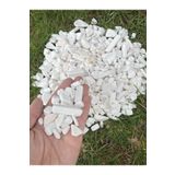 Elysian Beyaz Dolomit Taş 1 Kg 1-3 Cm Vazo Dibi Taşı Dekoratif Akvaryum Bahçe Süs Taşları Saksı Taşı