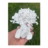 Elysian Beyaz Dolomit Taş 1kg 3-6cm Doğal Renkli Peyzaj Taşı Dekoratif Akvaryum Bahçe Süs Taşları