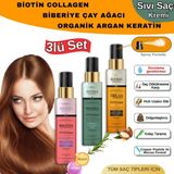 Elysian Essence 3’lü Sıvı Saç Kremi Seti - Biotin & Collagen - Organik Argan & Keratin - Biberiye & Çay Ağacı Durulanmayan Bakım Spreyi
