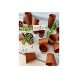 Elysian Üretim Saksı 100 Adet Küçük Kaktüs Sukulent Üretim Saksısı 5,5x5 cm Kahverengi Renkli Plastik Saksı