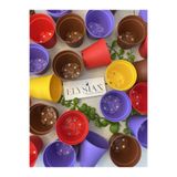 Elysian Üretim Saksı 20 Adet Kaktüs Ve Sukulent Üretim Saksısı 5,5x5 Cm Rengarenk Renkli Küçük Plastik Saksı
