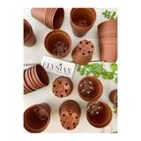 Elysian Üretim Saksı 50 Adet Kaktüs Ve Sukulent Üretim Saksısı 5,5x5 Kahverengi Renkli Küçük Plastik Saksı