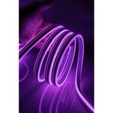 Ema Dükkan 10 Metre Mor 220 Volt Neon Led Tak Çalıştır Esnek Şerit Neon Led Aydınlatma 8x16 Mm Hortum Led
