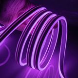 Ema Dükkan 3 Metre 220 Volt Mor Neon Led Tak Çalıştır 8x16mm Esnek Hortum Led Suya Dayanıklı Şerit Aydınlatma