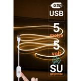 Ema Dükkan 5V USB Gün Işığı Neon Led Şerit Işık 5 Metre Silikon Esnek Su Geçirmez Dekoratif Aydınlatma
