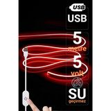 Ema Dükkan 5V USB Neon LED Şerit 5 Metre Kırmızı | Silikonlu Su Geçirmez Esnek Aydınlatma