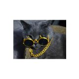EMAKE3D Kedi "Zengin Kolye Gözlük" Seti