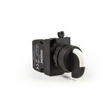 Emas CP101S30 1-0-2 Seçici Buton