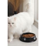 Emaye Kedi Köpek Mama Ve Su Kabı Pati Desen,Night