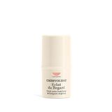 Embryolisse Radiant Eye Makyaj Bazı - Beyaz