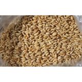 Emek Yem Elenmiş Buğday (Tavuk, Güvercin, Hindi, Kaz, Ördek - 3 kg -