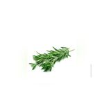 EMENS Biberiye 50 g – Yoğun Aroma, Katkısız