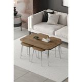 Emideco Zigon ve Orta Sehpa 5'li Takım , Metal Ayaklı , Roma 4+1 Sehpa , Gümüş Metal - Atlantik Çam Tabla