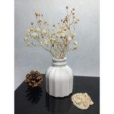 Emily Samy Ince Çizgili Vazo - Modern & Minimal Dekoratif Obje, Salon ve Ofis Çiçeklik, Beyaz