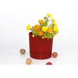 Emin Home Poliwork Yuvarlak Tabaklı Plastik Saksı 0.5 Lt - Küçük Boy Çiçek Saksısı - standart - Sütlü Kahve