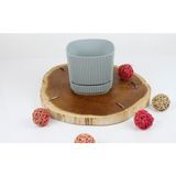 EminHome 1 No Küçük Pera Kare Saksı 10.6X10.6X9.6 cm 0.60 Lt