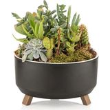 EminHome Alya Plastik Tripot Ayaklı Saksı Büyük 22X12 C cm 2.25 Lt