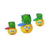 Emoji Çim Adam Yapım Seti-Okul Eğitici Deney Seti 1 Adet