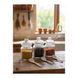 EMPIEM Premium Cam Baharatlık Seti 3 Takım 250 ml — Porselen Kaşıklı Şeffaf Kavanoz