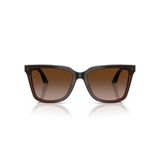Emporio Armani 0EA 4261 631813 55 Kadın Güneş Gözlüğü