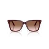 Emporio Armani 0EA 4261 632013 55 Kadın Güneş Gözlüğü