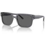 Emporio Armani 0ea4197 50298757 Erkek Güneş Gözlüğü