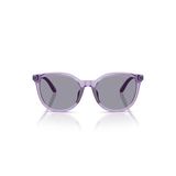 Emporio Armani 4007U 628080 49-17 Kadın Güneş Gözlüğü