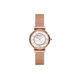 Emporio Armani AR11320 Kadın Kol Saati