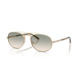 Emporio Armani EA 2171 30022C 57 Erkek Güneş Gözlüğü