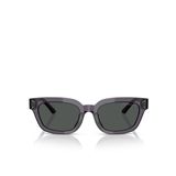 Emporio Armani EA4233U Geometrik Gri Kadın Güneş Gözlüğü