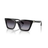 Emporio Armani EA4250U 50178G 54 Siyah Kadın Güneş Gözlüğü