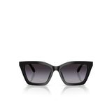 Emporio Armani Kadın Güneş Gözlüğü 0EA4250U5450178G