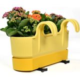 Empressco 1 Adet Ixora Çift Askılı Balkon Saksı Sarı Renk 5,8 Lt Genişlik 39,5 cm Yükseklik 22 cm Derinlik 17 - Fiyatı, Yorumları